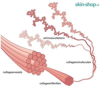 Mijnenveld nieuws Elektronisch Vitals Collageenformule Pro | Skin-shop.nl