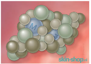 Vitals Magnesium(bisglycinaat) - anorganisch gebonden mineraal